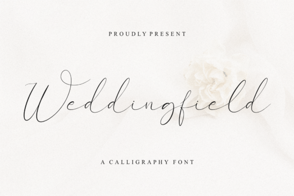 Beyond Aesthetics: How Weddingfield Reshapes Modern Brand Communication