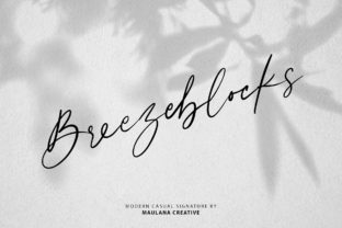 Breezeblocks: A Modern Script for Authentic Branding