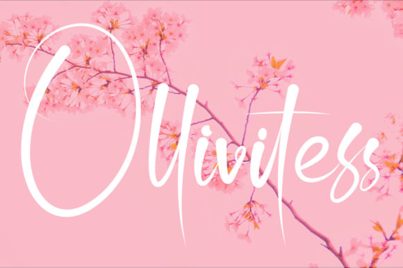 Ollivitess: The Romantic Script for Elegant Branding