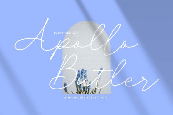Unlocking Elegance: A Comprehensive Guide to Apollo Butler