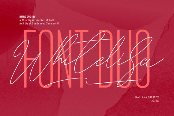 Whitelisa: A Strategic Choice for Modern Brand Identity